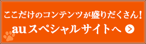 ここだけのコンテンツが盛りだくさん！ auスペシャルサイトへ