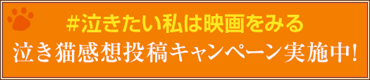 #泣きたい私は映画をみる 泣き猫感想投稿キャンペーン実施中！