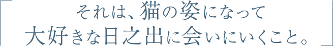 それは、猫の姿になって 大好きな日之出に会いにいくこと。